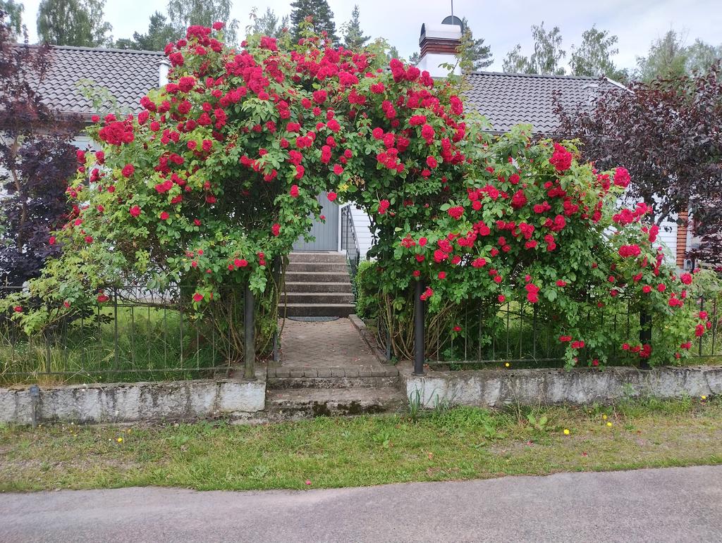 Ett utkast av säljarens egna bilder av en fantastisk trädgård