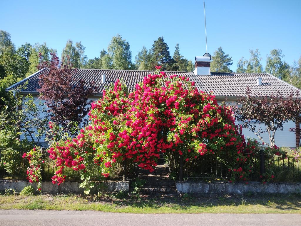 Ett utkast av säljarens egna bilder av en fantastisk trädgård