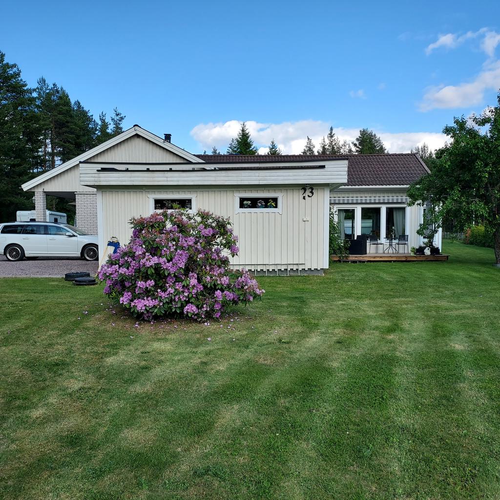 Sommarbild ( säljarna ) 