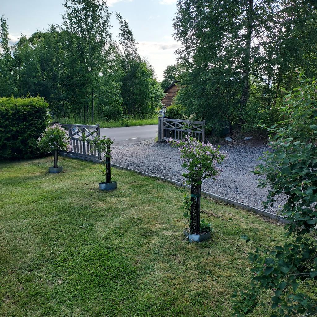 Sommarbild ( säljarna ) 