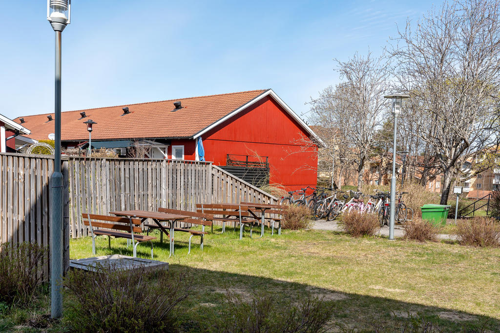 Föreningens trevliga gård