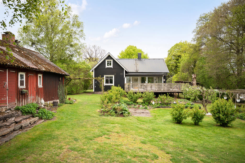 Vacker trädgård 