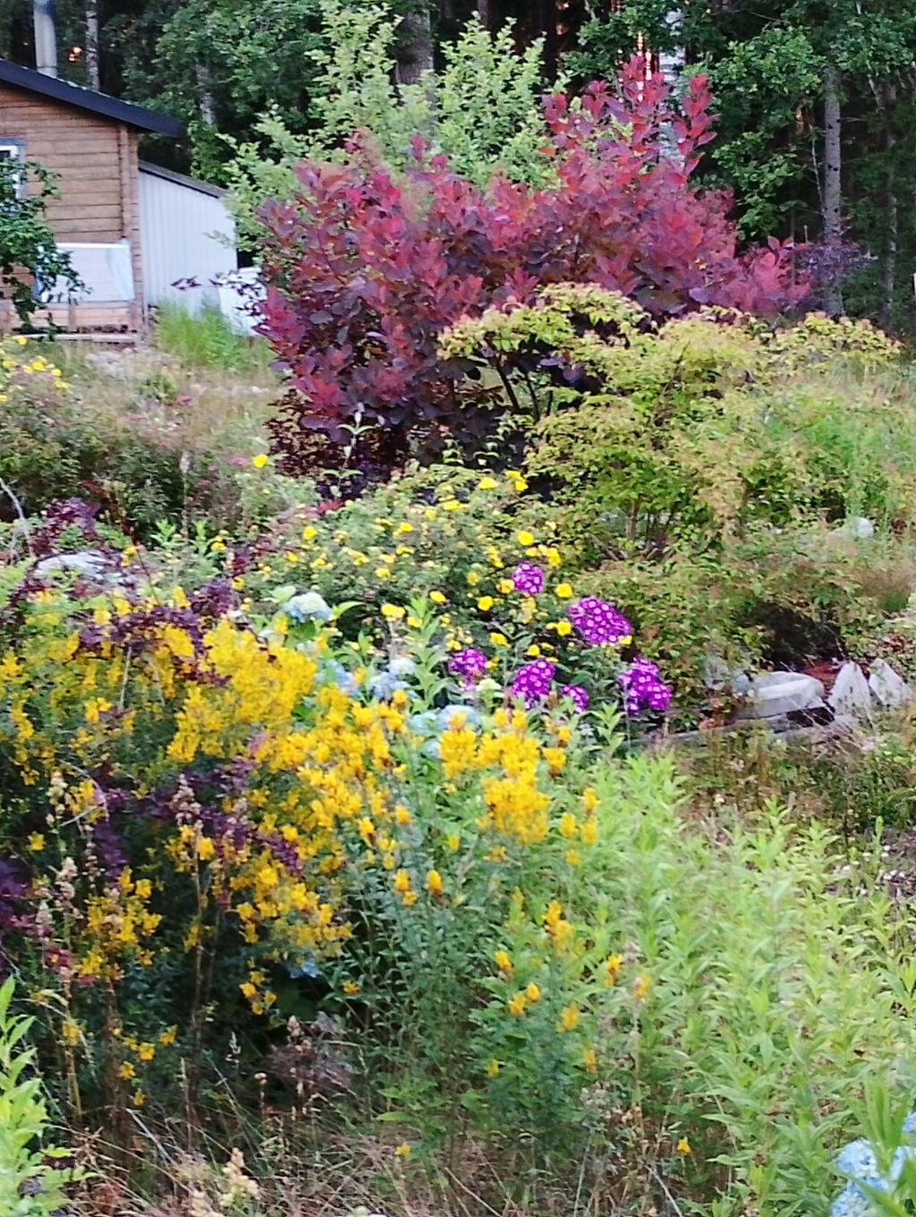 Trädgårdsbild sommartid
(Foto: Säljaren)