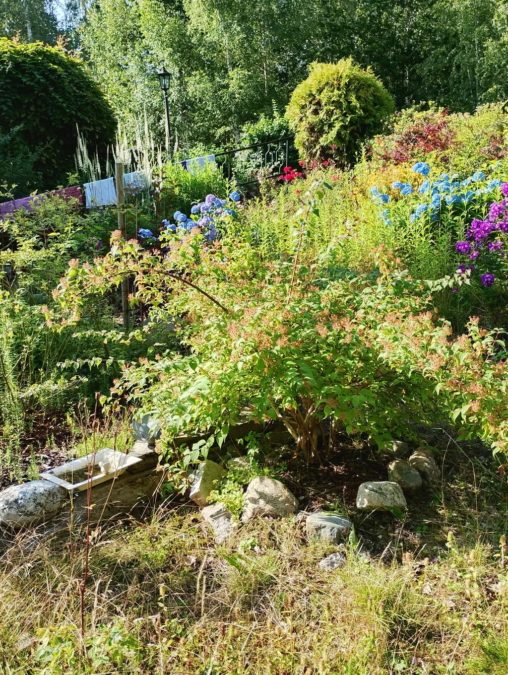 Trädgårdsbild sommartid
(Foto: Säljaren)