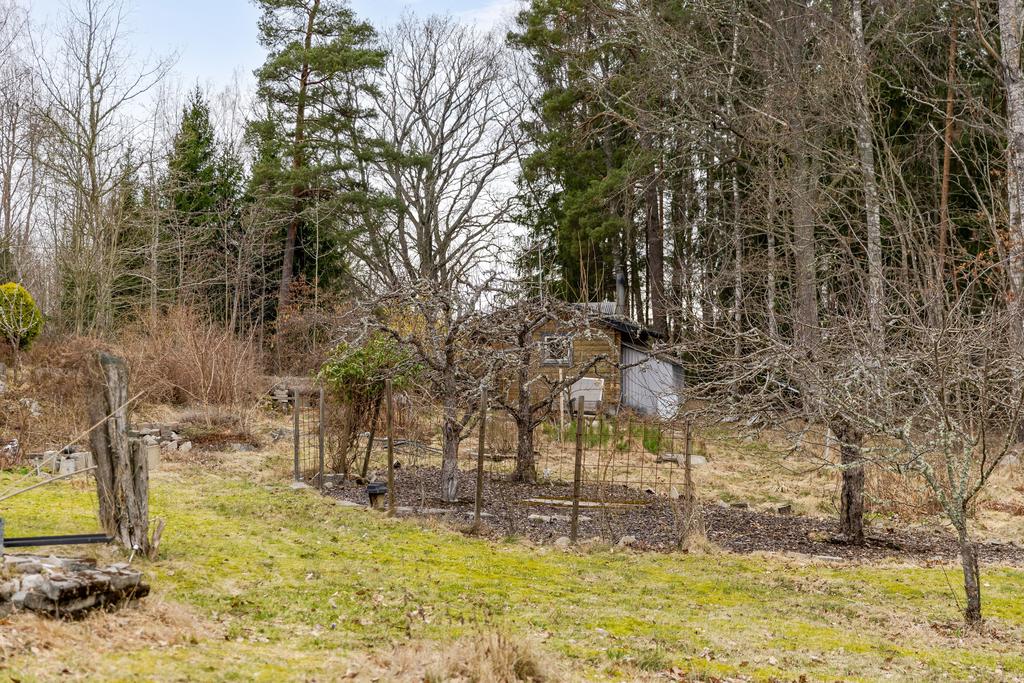 Både äppelträd och päronträd