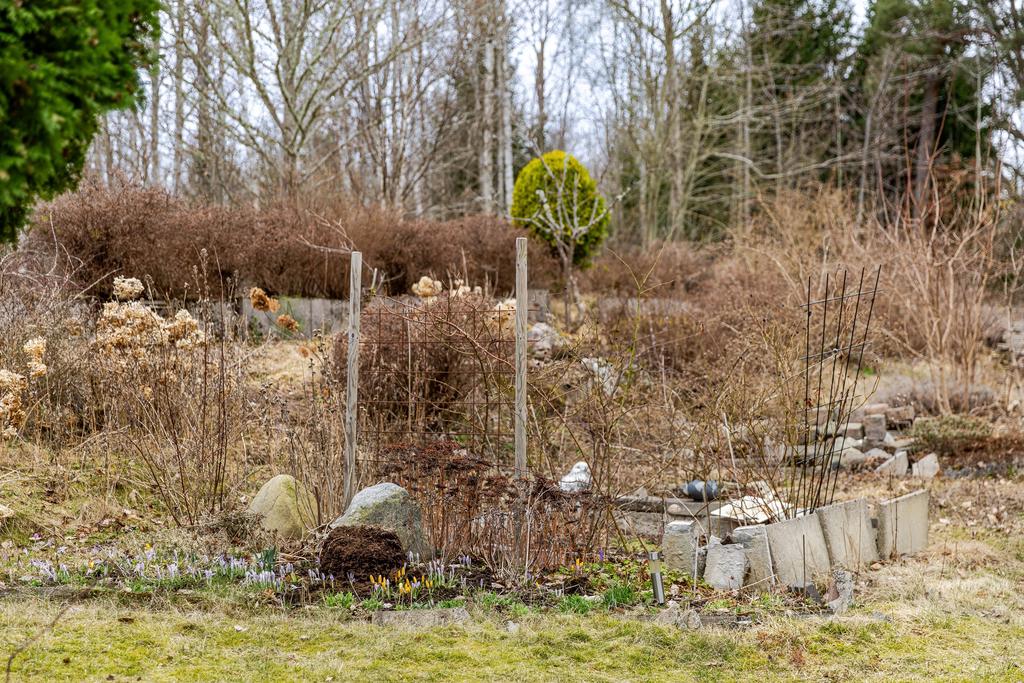 Buskar, häck och hortensior trivs här