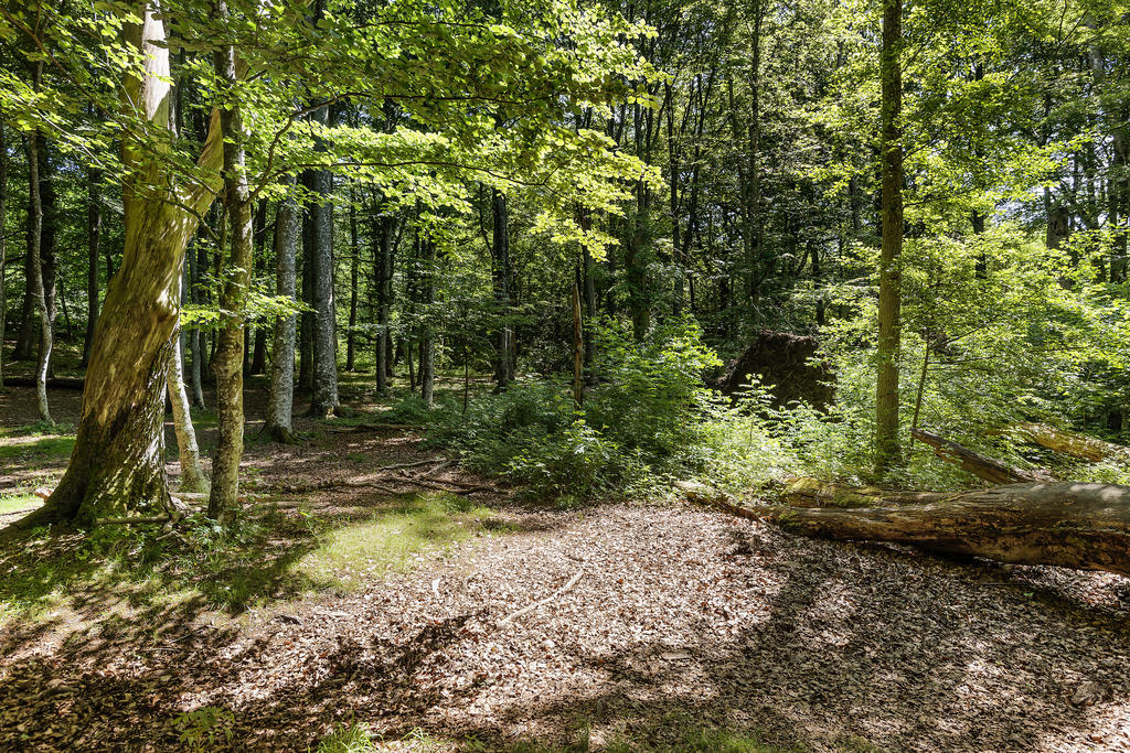 Härliga naturområden i närheten