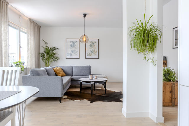 Välkommen till Herrhagsgatan 2!