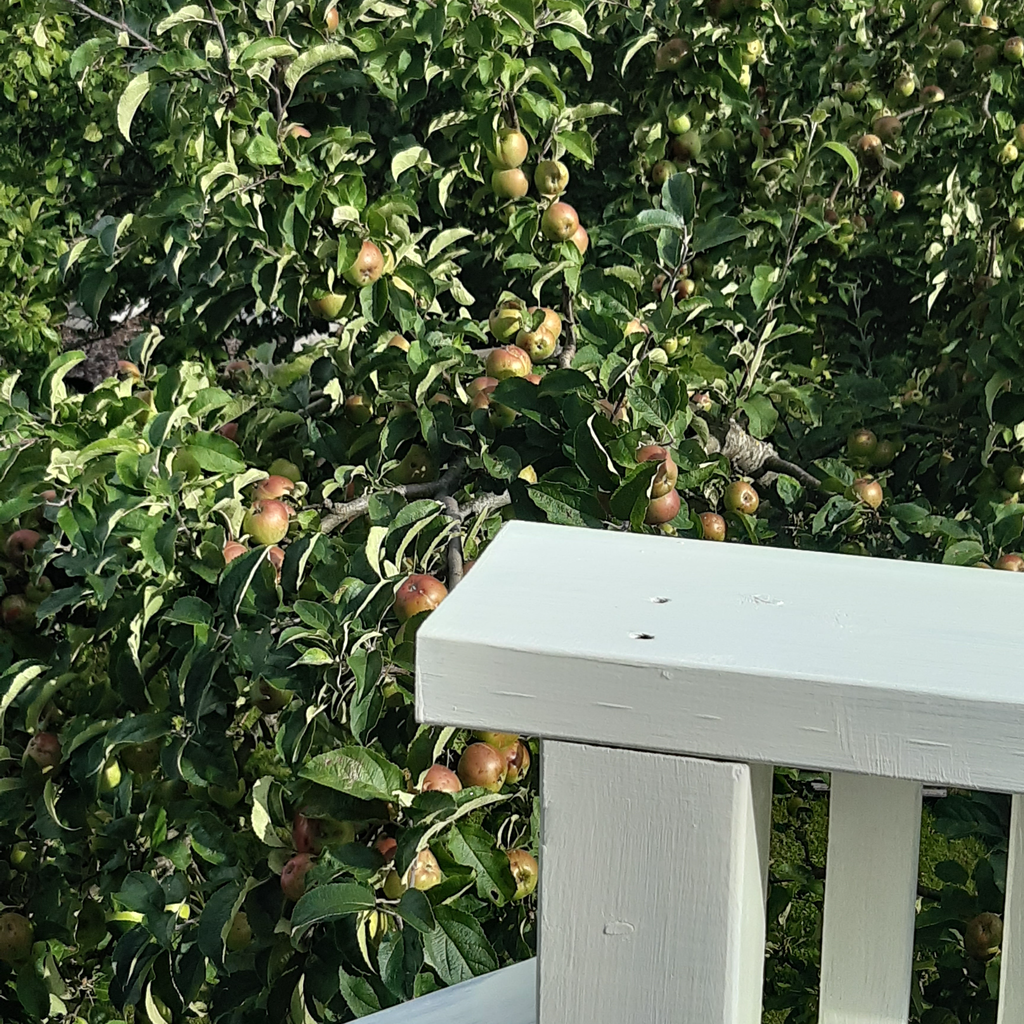 Säljarens sommar bilder