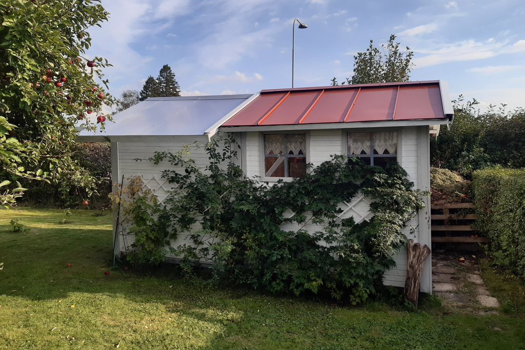 Säljarens sommar bilder