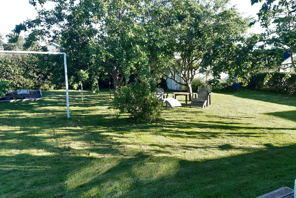 Säljarens sommar bilder