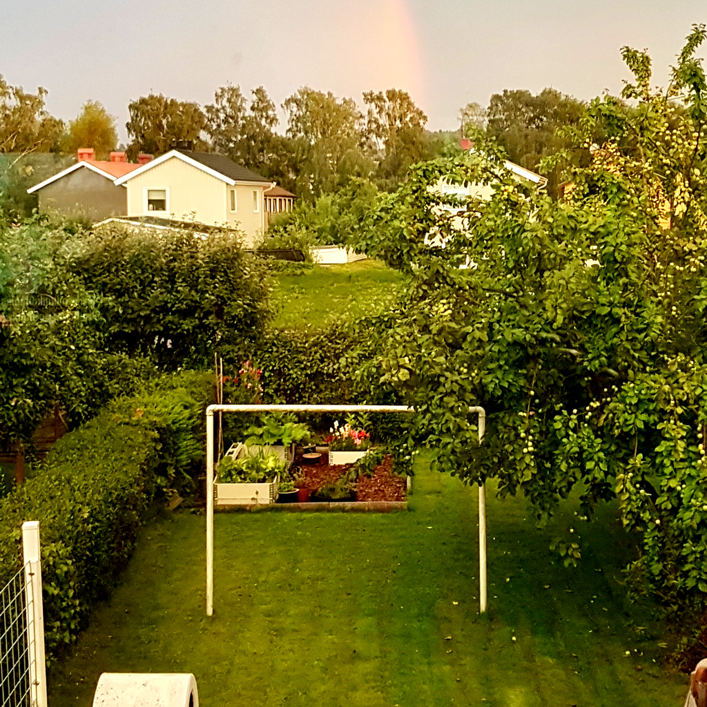 Säljarens sommar bilder