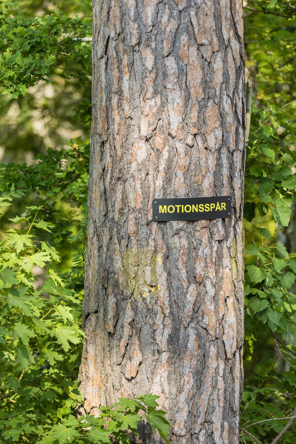 Motionsspår strax intill