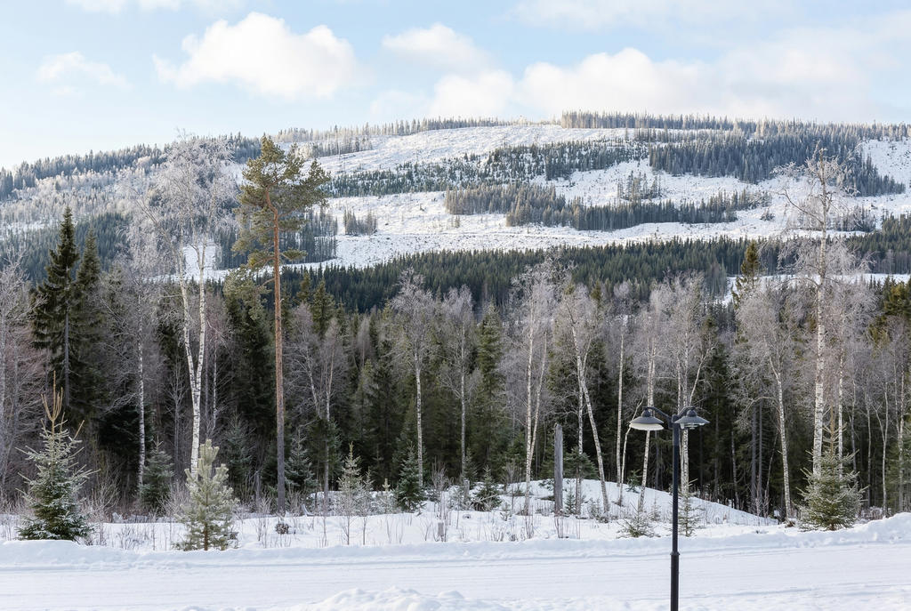 Utsikten över Renfjället från altanen.