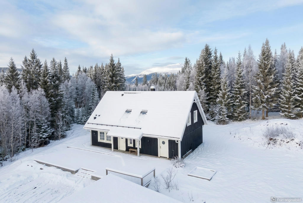 Visualisering: Digital vinterredigering