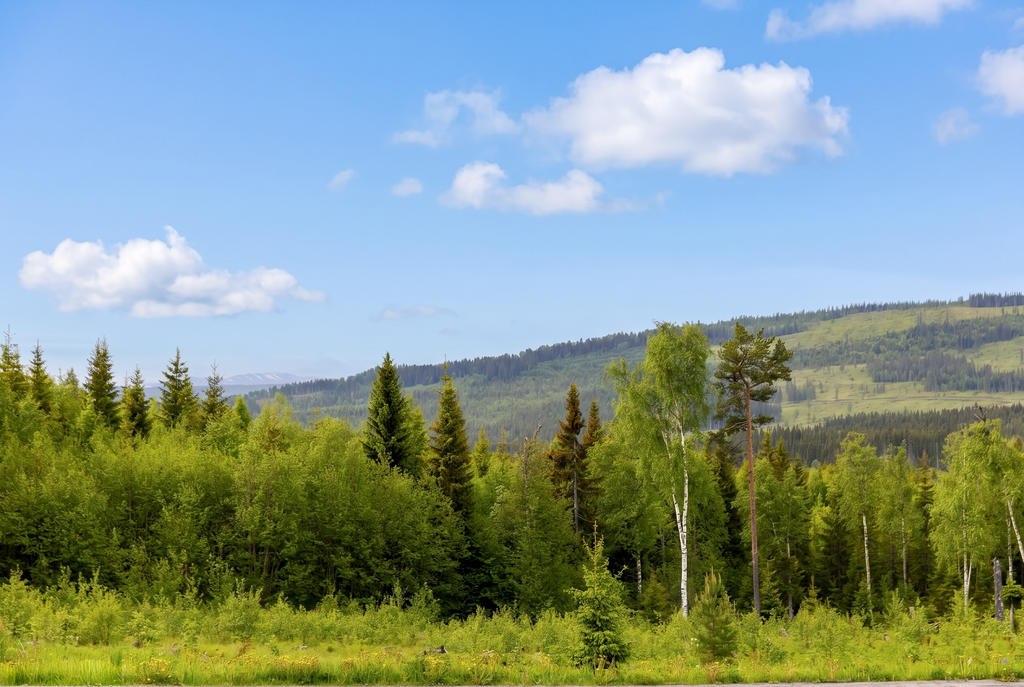 Utsikten över Renfjället från altanen.