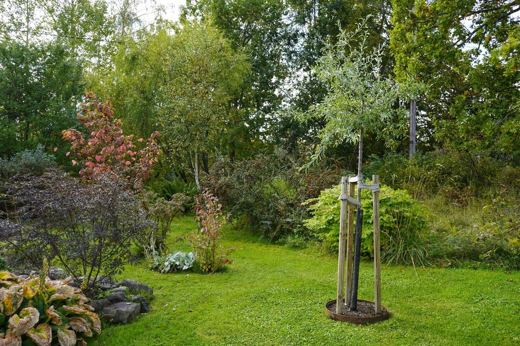 Säljarens egen bild