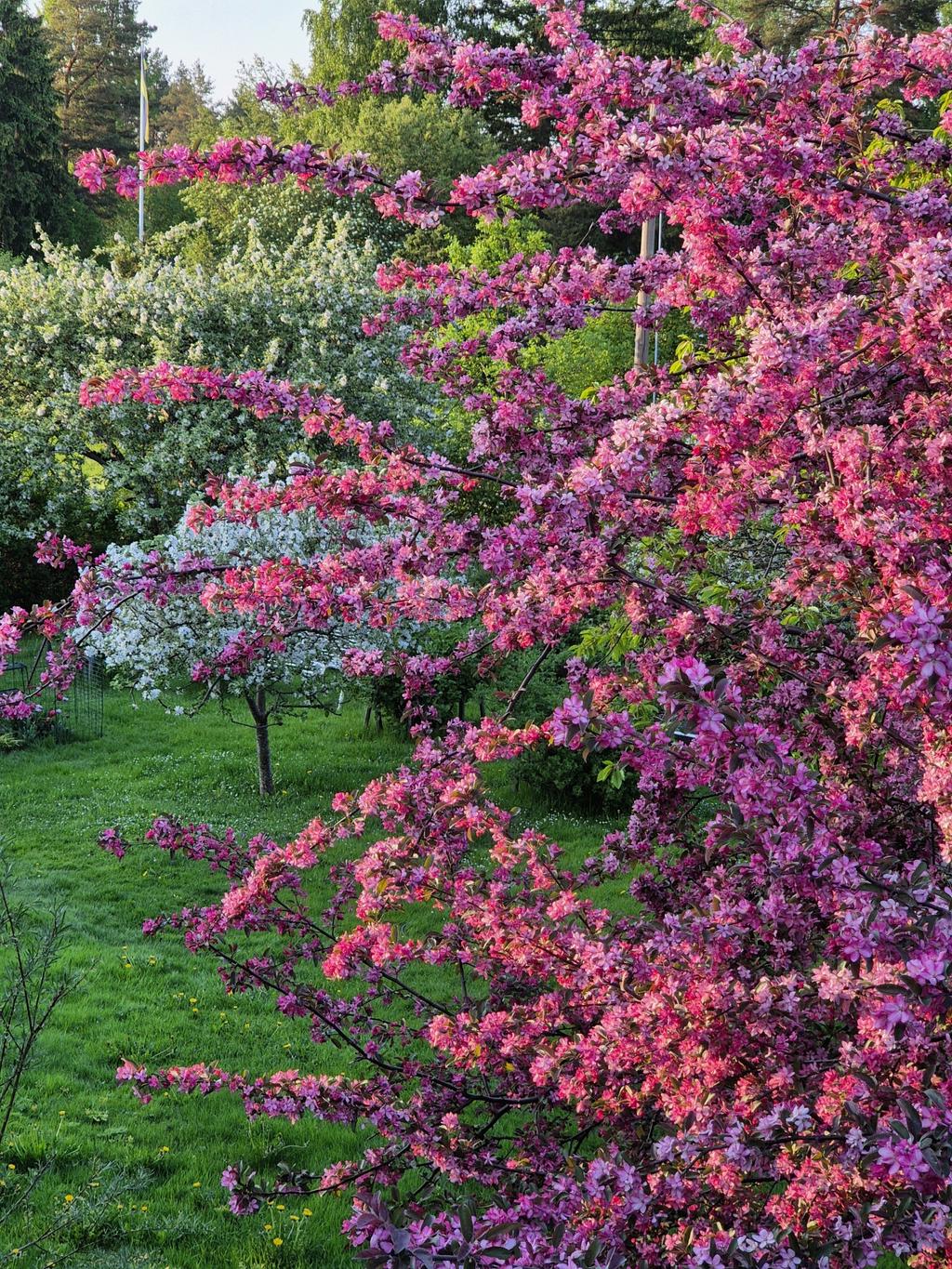 Säljarens egen bild