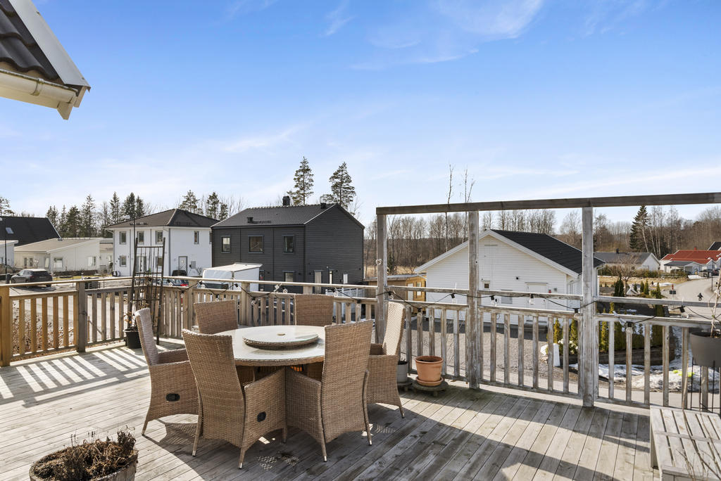 Dinner time in the sun