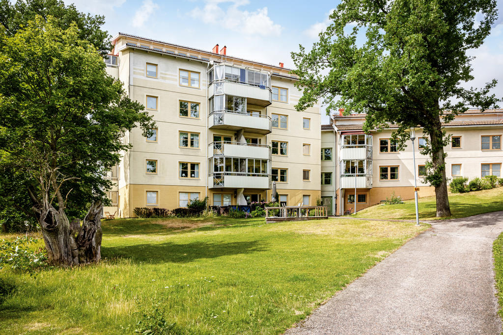 Föreningens trädgård