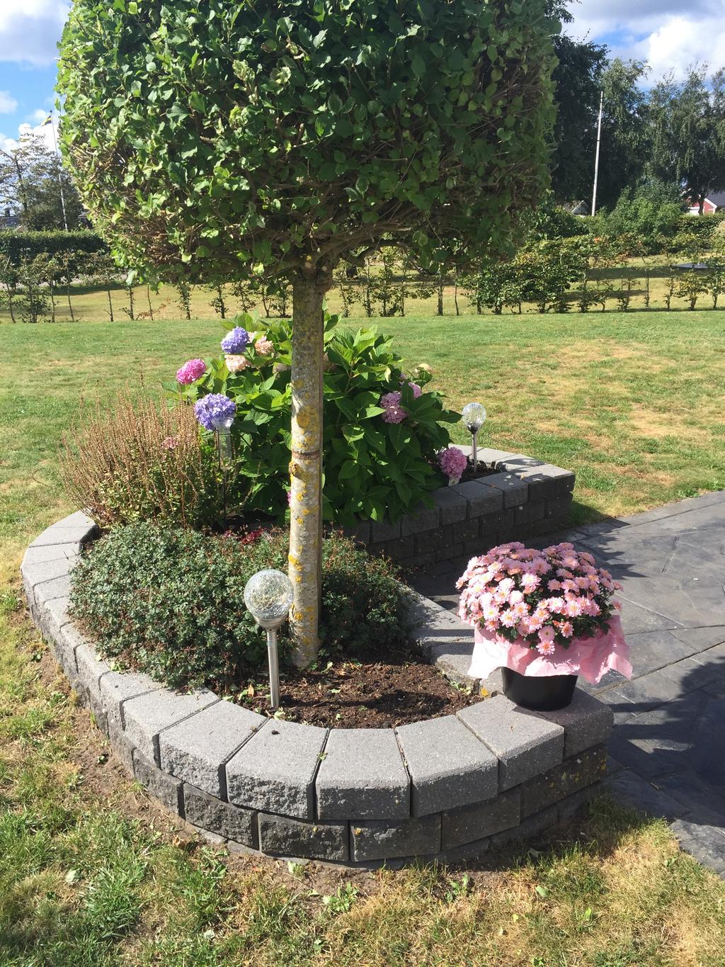 Säljarens sommarbild 