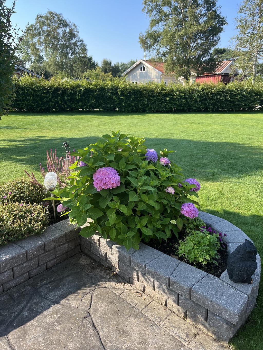 Säljarens sommarbild 