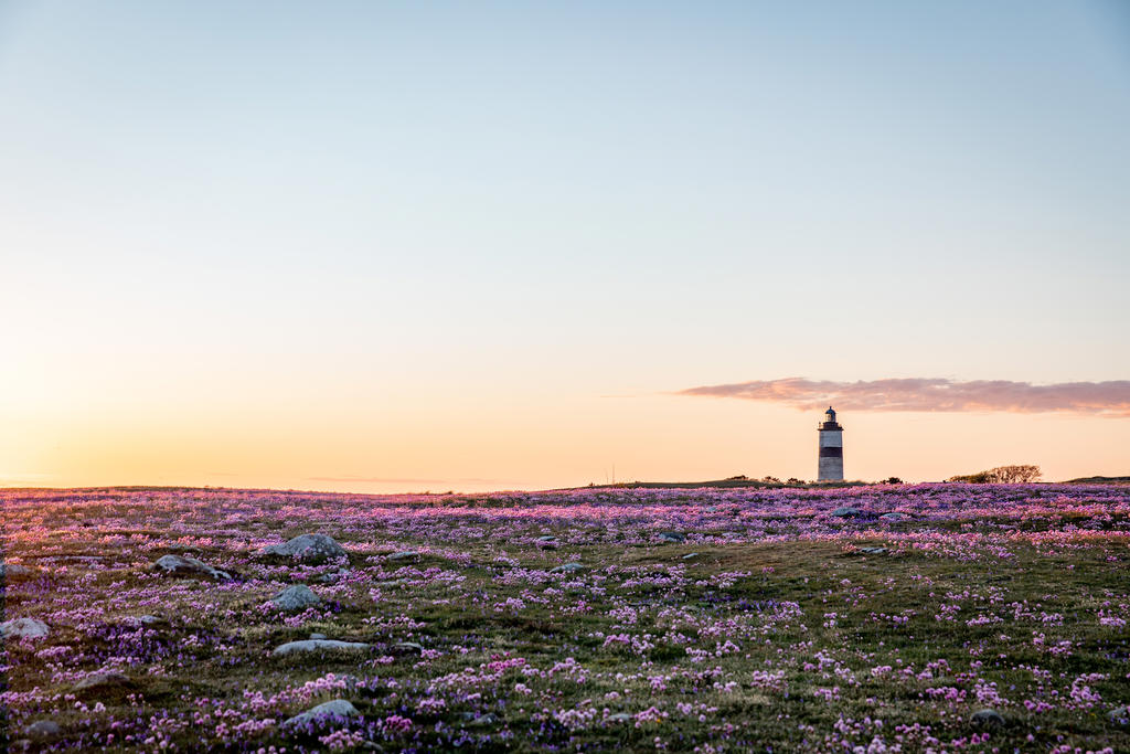 Foto: Destination Falkenberg