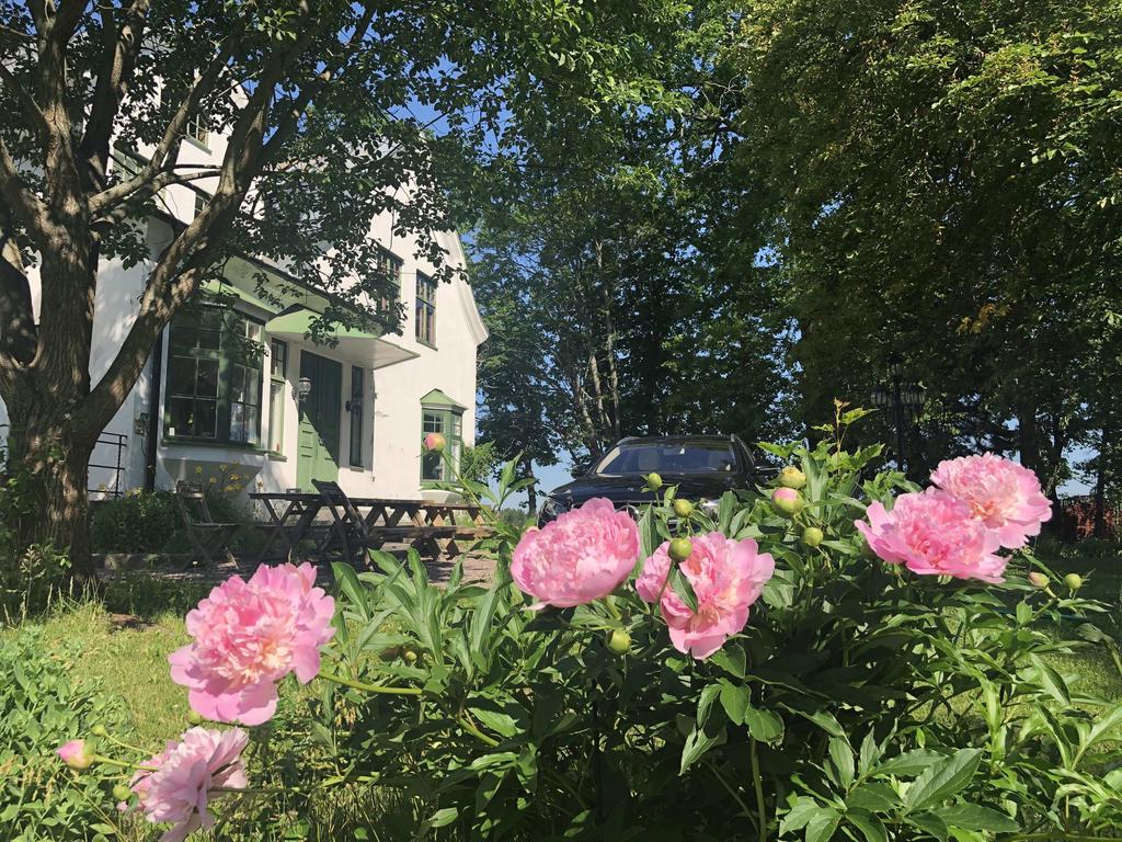 Blommor