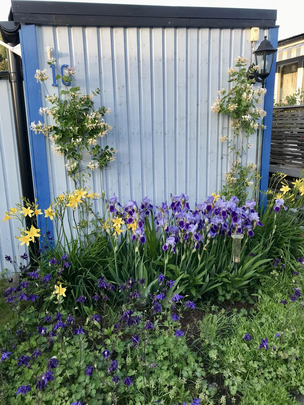 Säljarens egna bild