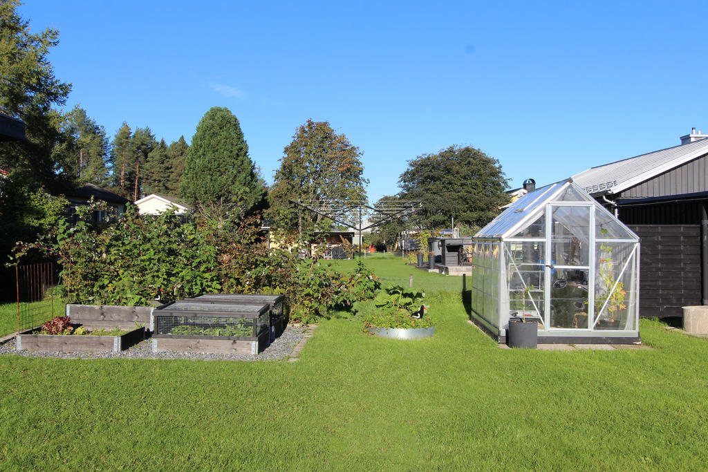 Pallkragar och växthus