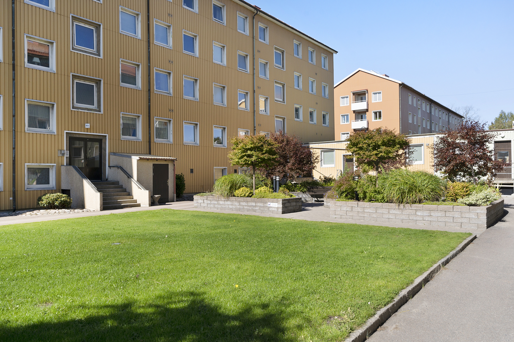 Föreningens gemensamma innergård