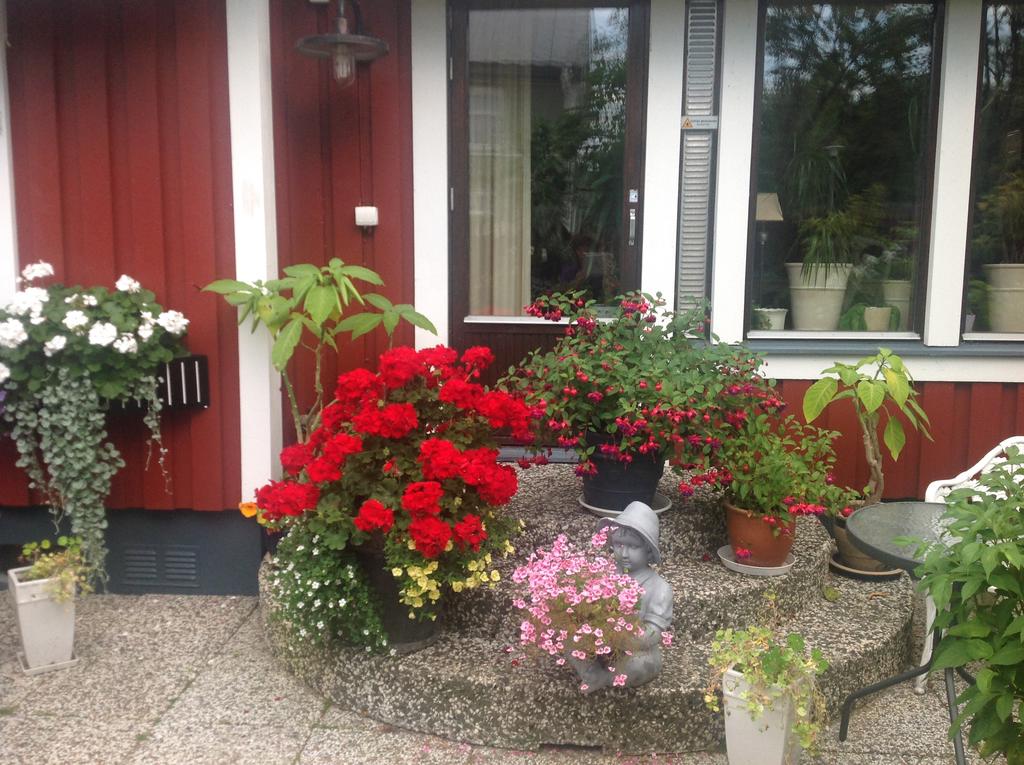 Säljarnas egna sommarbild