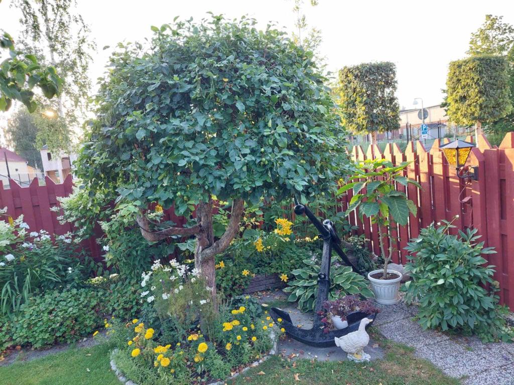 Säljarnas egna sommarbild