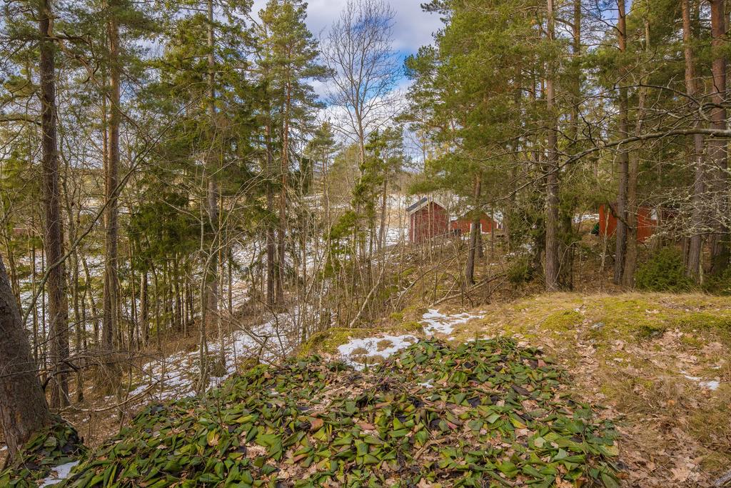 Vy mot sjön som ligger ca 200m rakt fram.