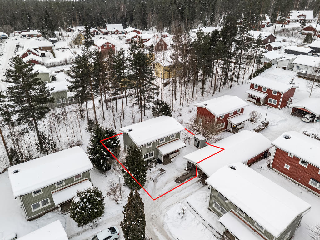 Grönskande skog precis intill