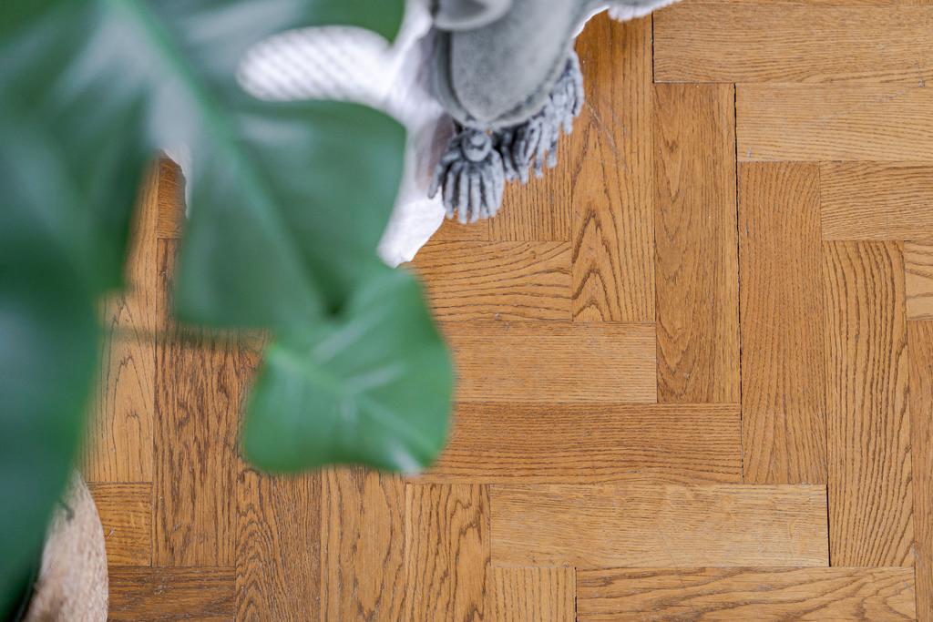 Vackert ekparkettgolv