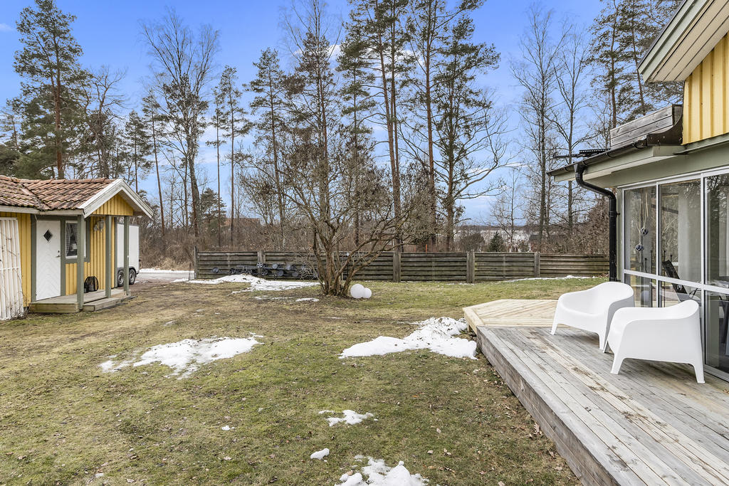 Trädgård till sommaren