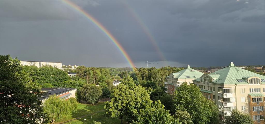 Säljarens bild/sommar 
