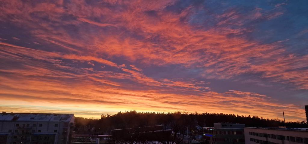 Säljarens bild/magisk rosa himmel