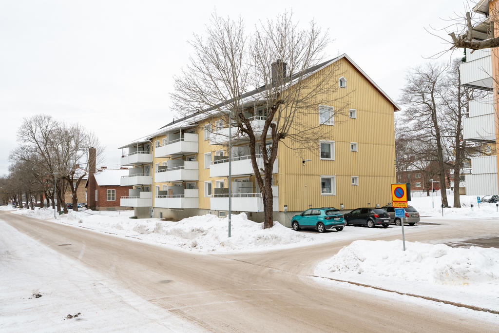 Baksida av huset med rymliga balkonger