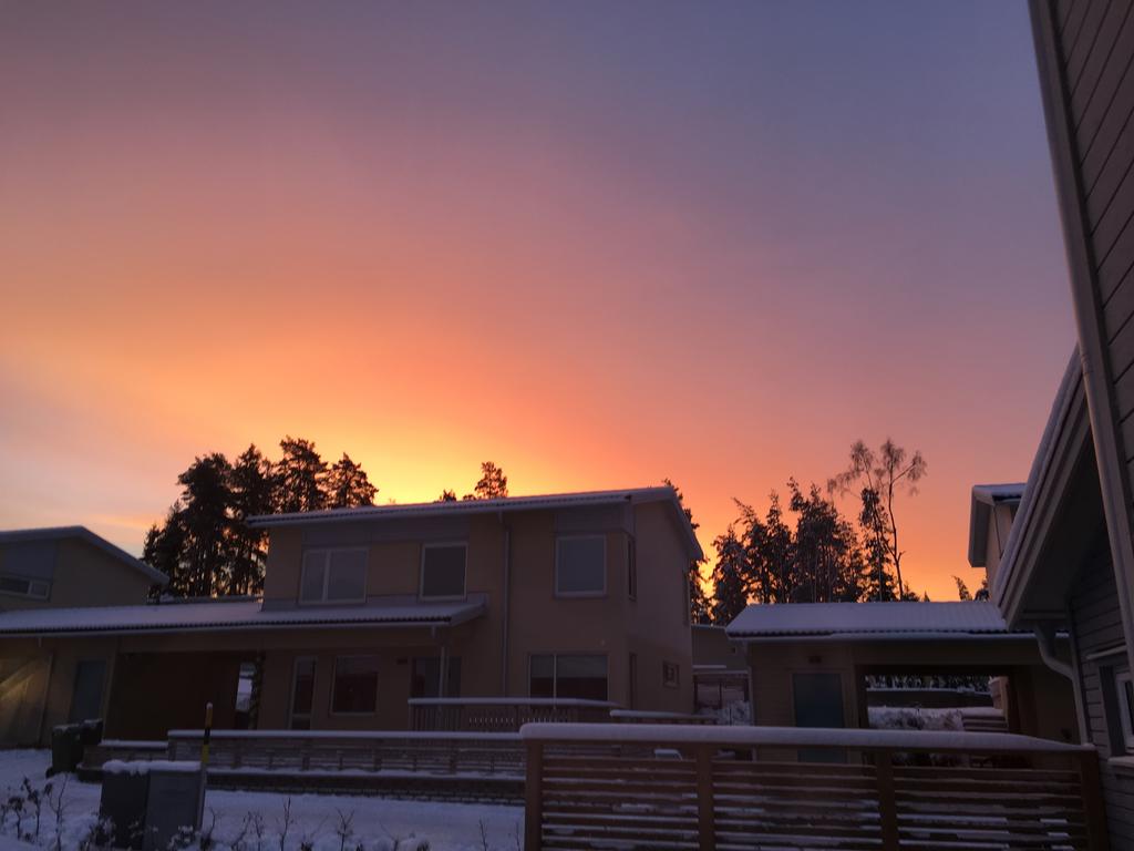 Rosa himmel över husen.  Säljarens bild.