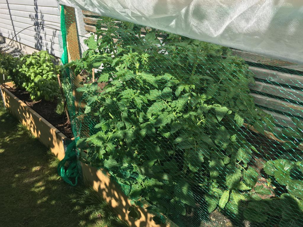 Pallkragar för den odlingsintresserade. Säljarens bild.