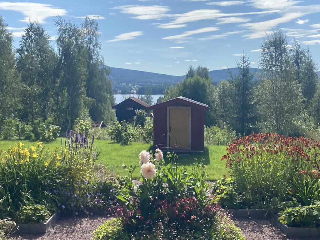 Säljarnas egna sommarbilder.