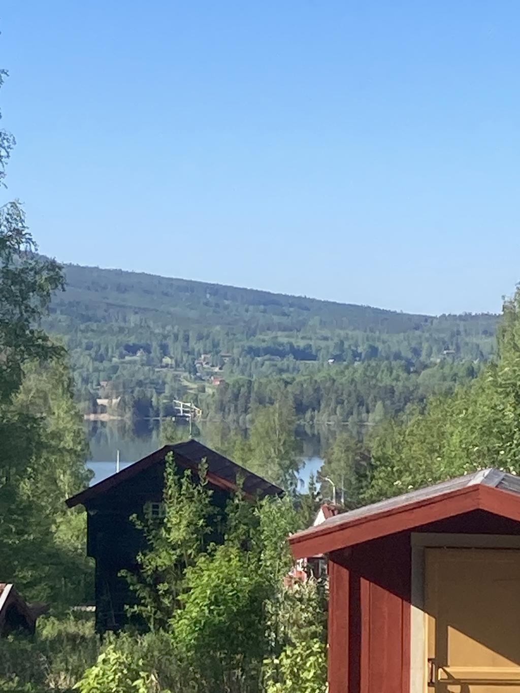 Säljarnas egna sommarbilder.