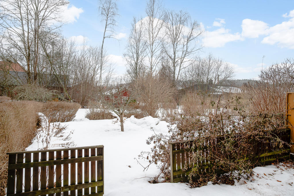Tomt med prydnadsbuskar och fruktträd