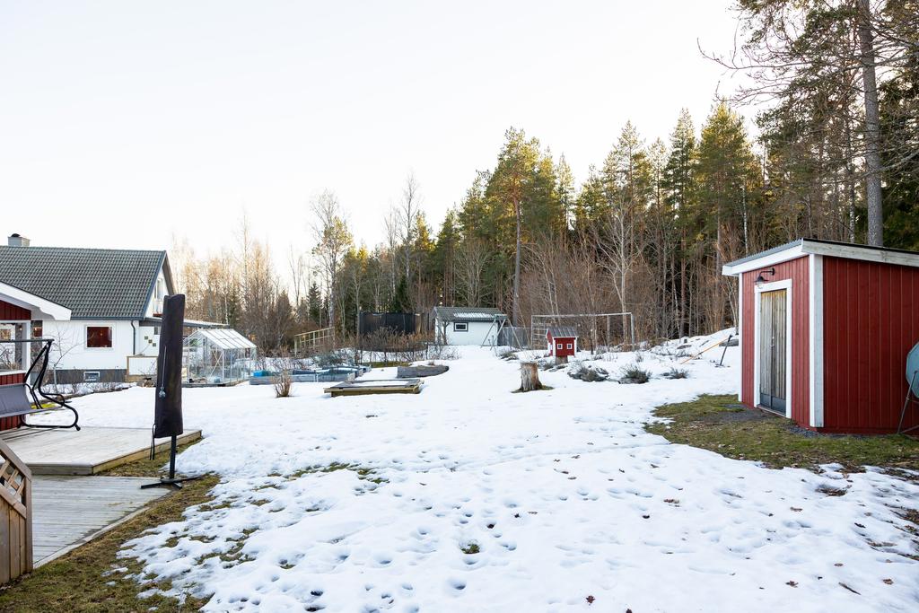 Trädgård