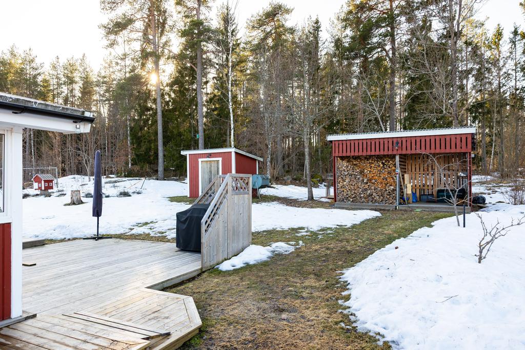 Trädgård