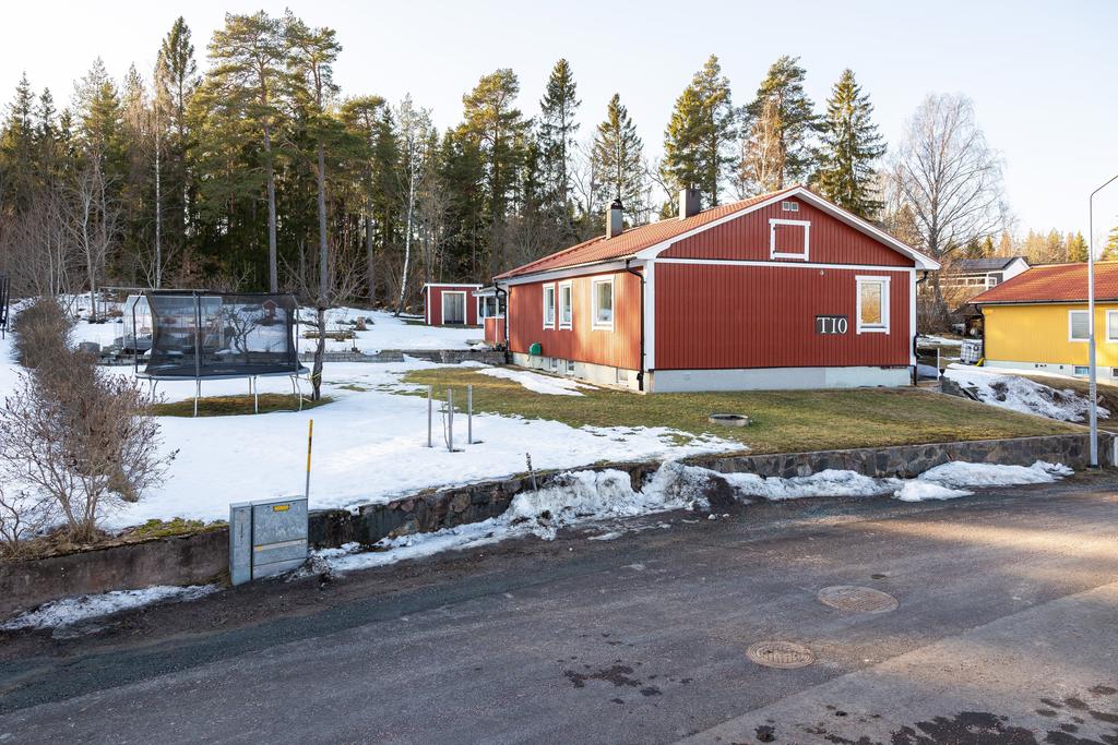 Trädgård