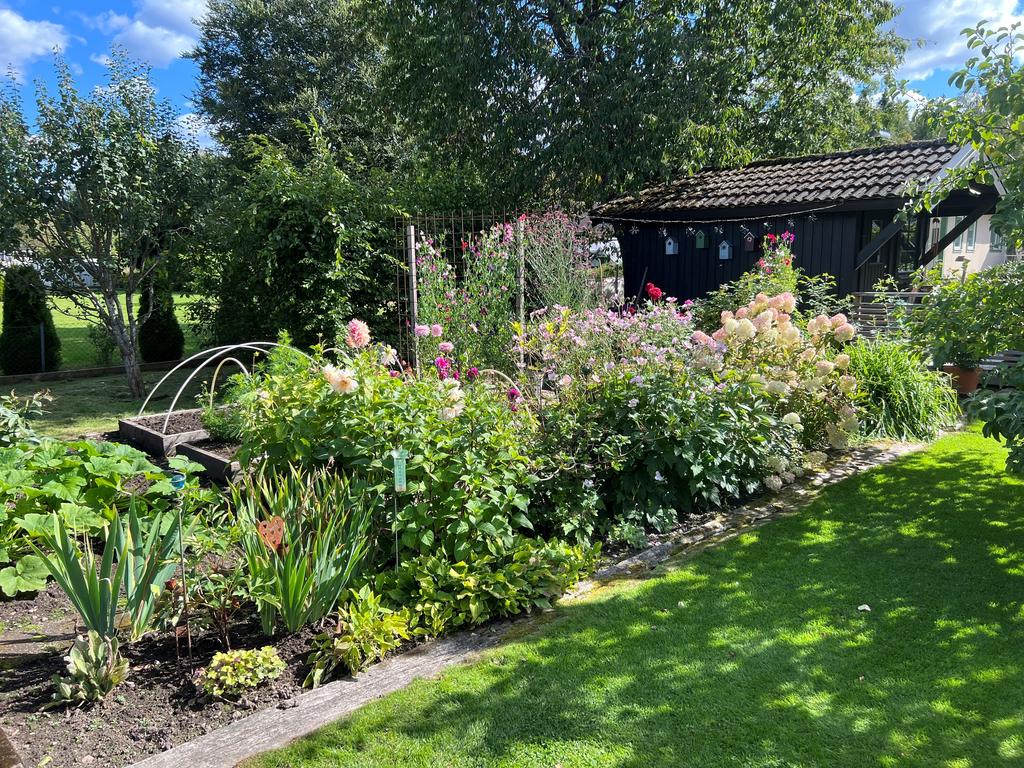 Säljarens sommarbild