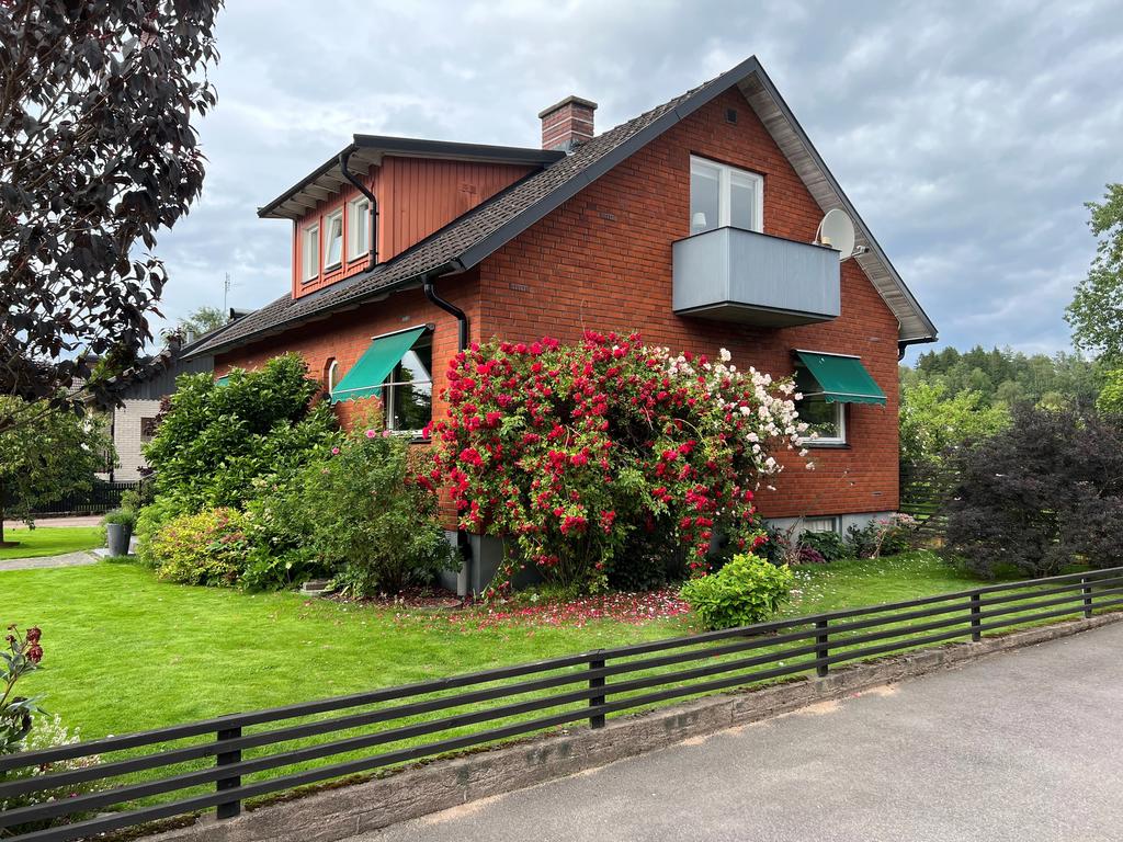 Säljarens sommarbild